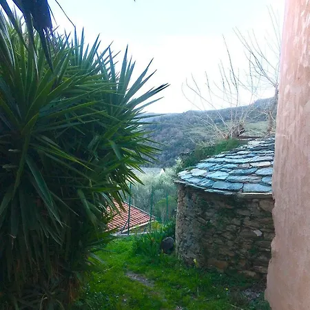 Studio Saleccia Santo-Pietro-di-Tenda